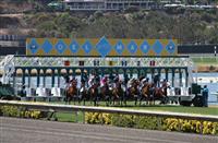 Del Mar Thoroughbred Club