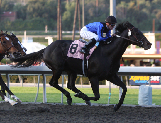 Einstein captures the Santa Anita Handicap
