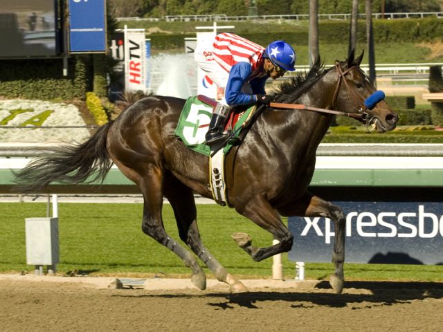 Fed Biz wins at Santa Anita Park on 2-9-12. 
