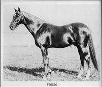 FONSO