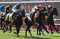 Gervinho, Oceanside Stakes 2013, Del Mar