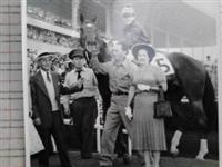Curragh King 1954 Hollywood Park