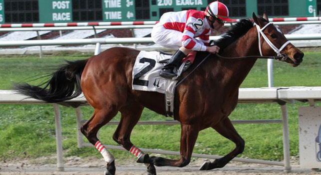 Havre De Grace top story