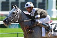 Hightap captures the 2009 Dogwood under Shaun Bridgmohan
