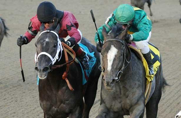 Honor Code (no. 4), ridden by Javier Castellano and trained by Claude McGaughey III, wins the 100th running of the grade 2 Remsen Stakes for two year olds on November 30, 2013 at Aqueduct Race Track in Ozone Park, New York. (Bob Mayberger/Eclipse Sportswire)