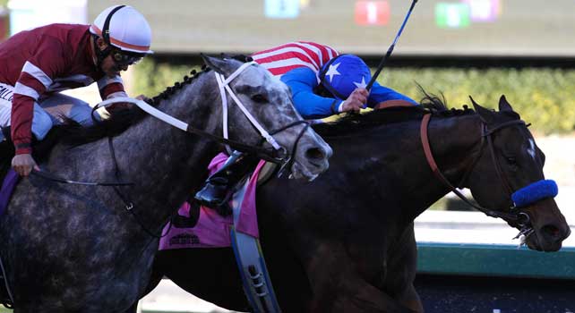 Fed Biz with Mike Smith aboard wins the San Fernando Stakes G2 at Santa Anita Park in Arcadia, California on January 12, 2013.