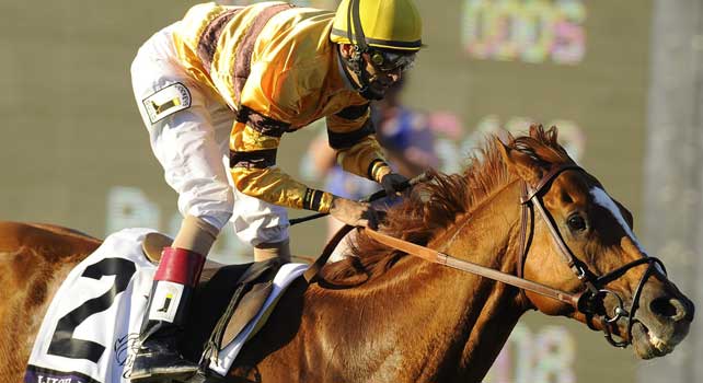 Nov. 03, 2012 - Arcadia, California, U.S - Wise Dan ridden by John Velazquez and trained by Charles Lopresti, wins the Breeders' Cup Mile at Santa Anita Park in Arcadia, CA