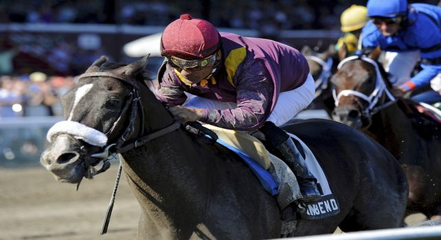 Jackson Bend (no. 2), ridden by Corey Nakatani and trained by Nick Zito, wins the James Marvin Stakes for three year olds and upward on July 22, 2011 at Saratoga Race Track in Saratoga Springs, New York. (Bob Mayberger/Eclipse Sportswire) 