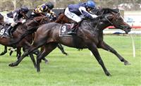 Jet away winning Easter Cup (G3) on route to the Caulfield Cup.
