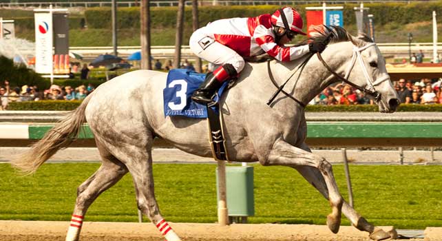 Joyful Victory wins 2013 Santa Maragarita. 