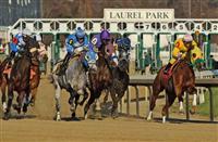 Laurel Park