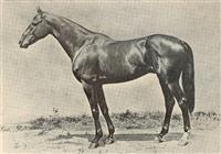 Longfellow 2
