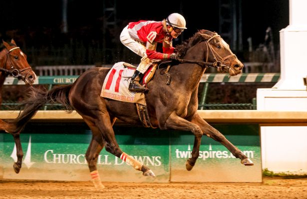 Resultado de imagen para mccracken horses imagenes jockey club gold cup