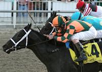 Mr. Bowling ridden by Robby Albarado gets a head in front of Z Dager and jockey Shane Sellers to win the 68th running of the $175,000 Grade III Lecomte Stakes at Fair Grounds.  Hodges Photography / Lou Hodges, Jr.