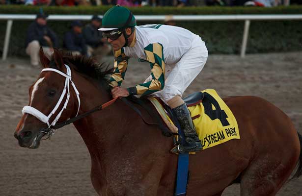 Sunhsine Million Classic MuchoMachoMan_SunMil2014_615x400_orig