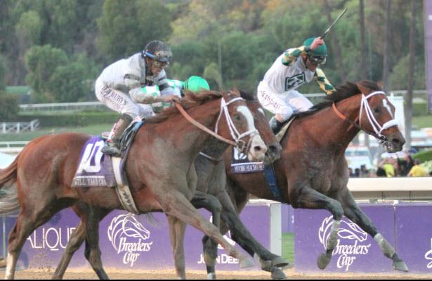 Mucho Macho Man wins the Breeders' Cup Classic