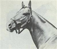 Nantallah 1