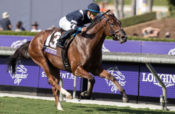 Classic contender California Chrome on cusp of immortality