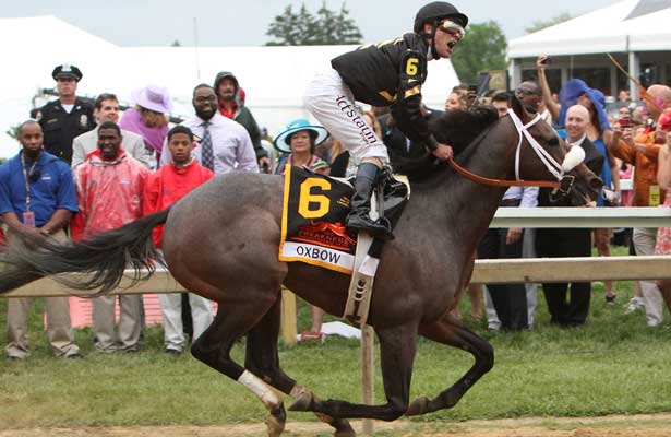Preakness Secrets