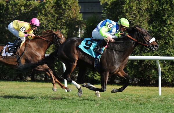 Parting Words breaks maiden at Aqueduct.  