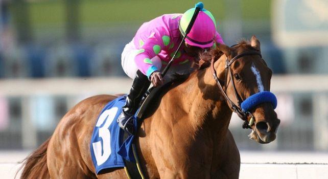Always a Princess wins 2011 La Canada. 