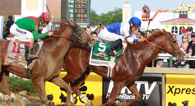 Preakness captures the 2011 Preakness over Animal Kingdom