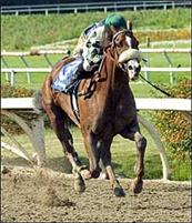Puxa Saco winning Desert Stormer with Mike Smith