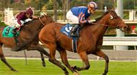 Qaraaba wins 2012 Robert Frankel Stakes