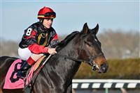 Saratoga Warrior