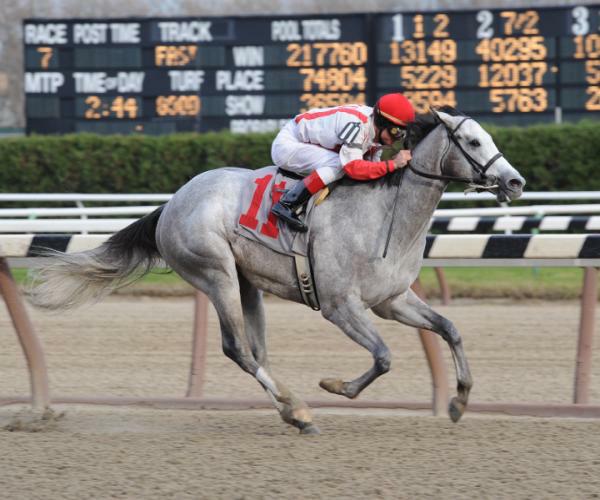 Read the Contract breaks maiden at Aqueduct (11-26-10). 
