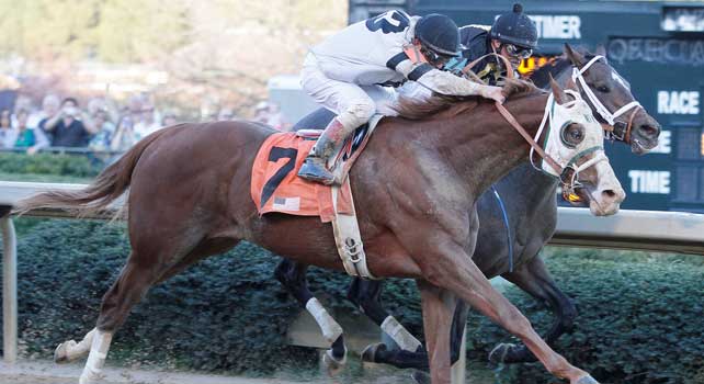 The 53rd running of the (Grade II) Rebel Stakes. March 16, 2013 - Hot Springs, Arkansas, U.S. - (Credit Image: © Justin Manning/Eclipse/ZUMAPRESS.com)
