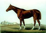 Salvator