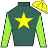 Silks 100 pixels