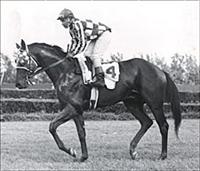 Sir Gaylord