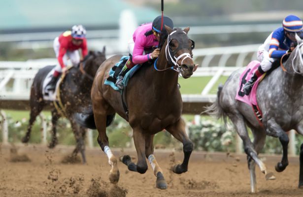 Solid Wager wins 2016 Cary Grant Stakes