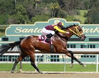 Storm Fighter breaking his maiden by 5+ lengths with Gary Stevens on 3/2/13