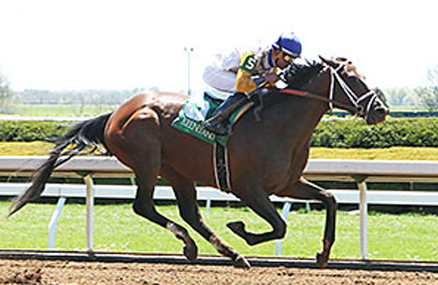 Triple Couronne 2015 Tale_Of_Verve_Keeneland_615x400_orig