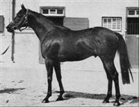 Tamerlane 1