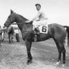 Tea-Maker, Saratoga Champion