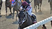 Tizway captures the 2011 Met Mile