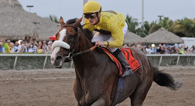 Union Rags Fountain of Youth