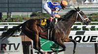 Unlimited Budget breaks maiden at Aqueduct. 