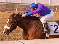 Winning Marylander Stakes - Dec. 1, 2012