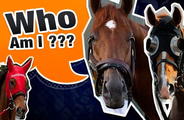 Who Am I ???