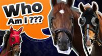 Who Am I ???