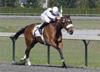 You Me and Ema B, confidently ridden by Trujillo, remained undefeated in two starts with a one-length victory over 3-to-5 favorite Include the Baby in an $18,600 allowance race for older fillies and mares.

You Me and Ema B, racing inside of Include the Baby, proved best in a prolonged battle between the two 4-year-old fillies. The winner, a Washington-bred by You and I , ran 5 ½ furlongs in 1:03.36 and paid $7.60. You Me and Ema B is 2-for-2 with earnings of $17,765 for trainer Margo Lloyd and Pat Hoonan.

Private Fortune finished third, followed by Greenback Forest, Private Fortune and Hearts Valentine.