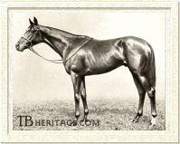 BlenheimRacing