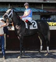 Lauburu breaks maiden at Aqueduct (11-13-10). 