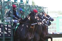 /track/trackdetail.aspx?tid=Monmouth Park
