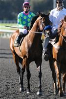 Noble Court before the 2009 Triple Bend